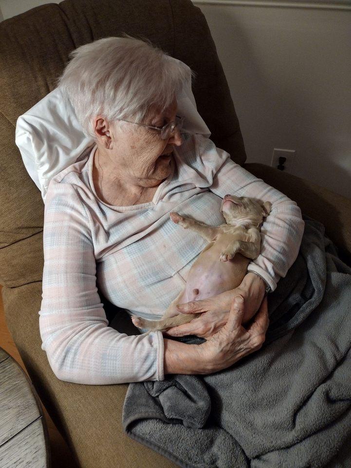 Hospice Care in Ringwood, IL